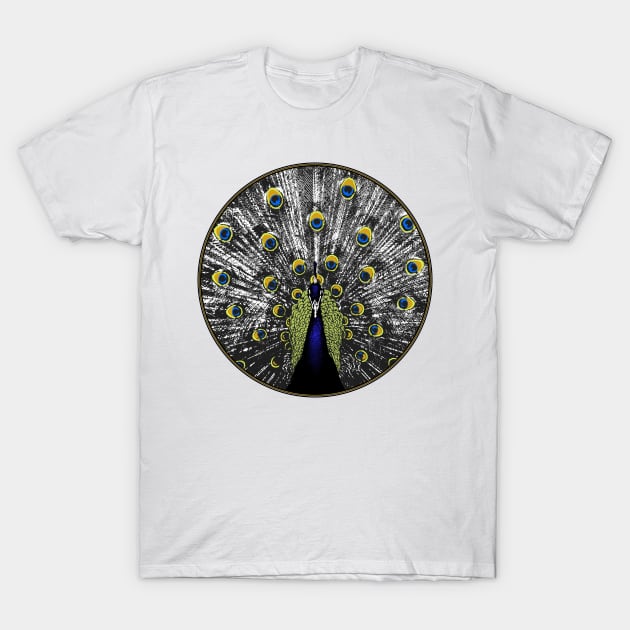 Peacock in a circle T-Shirt by R LANG GRAPHICS